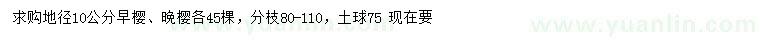 求购地径10公分早樱、晚樱