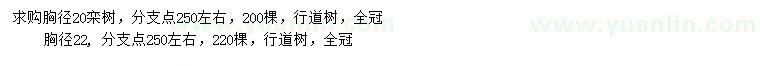 求购胸径20、22公分栾树