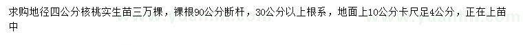 求购地径10量4公分核桃