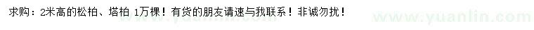 求购高2米松柏、塔柏
