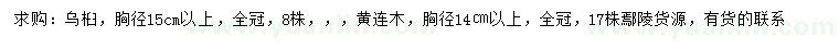 求购胸径15公分以上乌桕、14公分以上黄连木