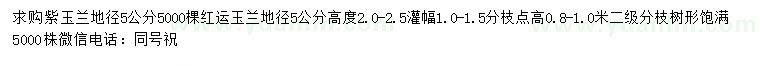 求购地径5公分紫玉兰、红运玉兰