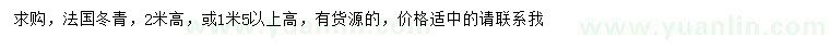 求购高2米法国冬青