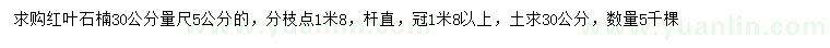 求购30公分量尺5公分红叶石楠