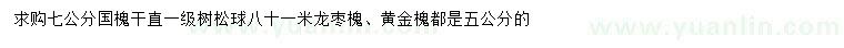 求购国槐、龙枣槐、黄金槐