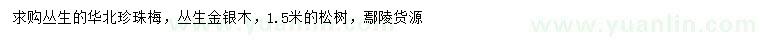 求购丛生华北珍珠梅、丛生金银木、松树