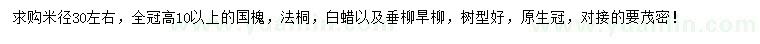 求购国槐、法桐、白蜡等