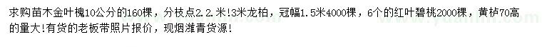 求购金叶槐、龙柏、红叶碧桃等