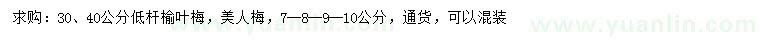 求购30、40公分低杆榆叶梅、7、8、9、10公分美人梅