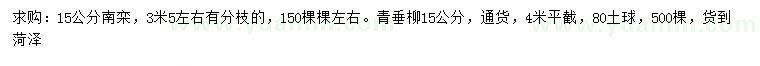 求购15公分南栾、青垂柳