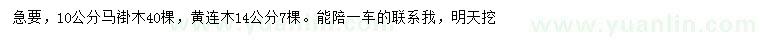 求购10公分马褂木、14公分黄连木