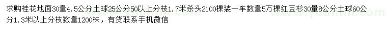 求购30公分量4.5公分桂花、8公分红豆杉