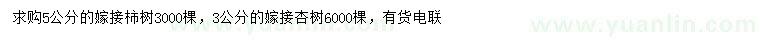 求购5公分嫁接柿树、3公分嫁接杏树