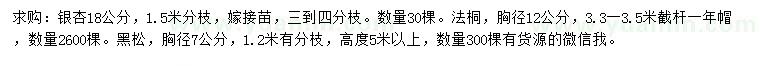 求购银杏、法桐、黑松