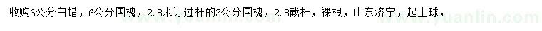 求购6公分白蜡、3、6公分国槐