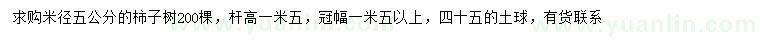 求购米径5公分柿子树