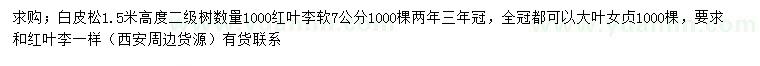 求购白皮松、红叶李、大叶女贞