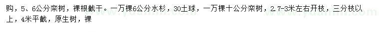 求购5、6、10公分栾树、6公分水杉