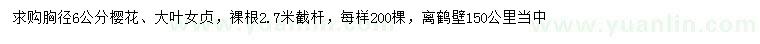 求购胸径6公分樱花、大叶女贞