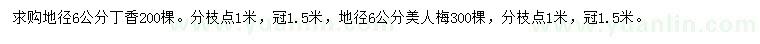 求购地径6公分丁香、美人梅