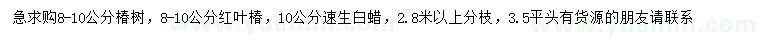 求购椿树、红叶椿、速生白蜡