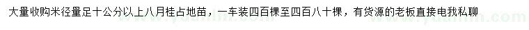 求购米径10公分以上八月桂