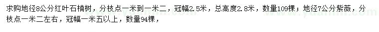 求购地径8公分红叶石楠树、地径7公分紫薇