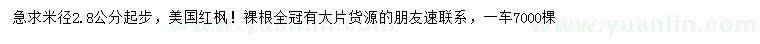 求购米径2.8公分起步美国红枫