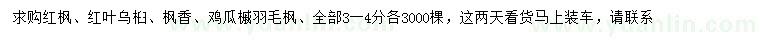 求购红枫、红叶乌桕、枫香等