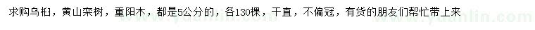 求购乌桕、黄山栾、重阳木