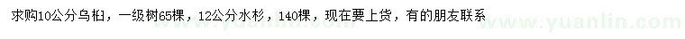 求购10公分乌桕、12公分水杉