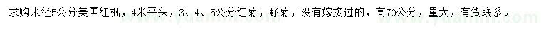 求购米径5公分美国红枫、3、4、5公分红野菊