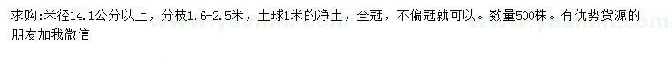 求购米径14.1公分以上广玉兰