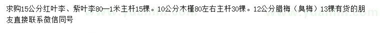 求购红叶李、紫叶李、木槿等