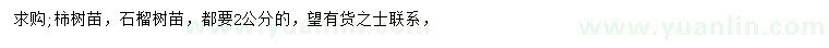 求购2公分柿树、石榴树苗