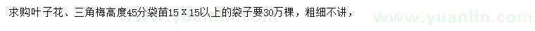 求购高45公分叶子花、三角梅