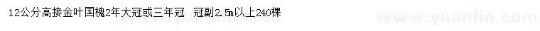 求购12公分高接金叶国槐