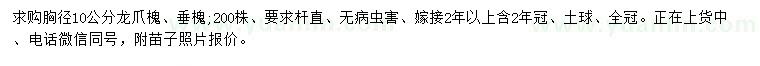 求购胸径10公分龙爪槐、垂槐