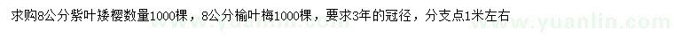 求购8公分紫叶矮樱、榆叶梅