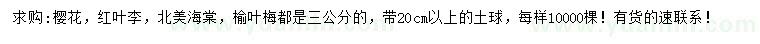 求购樱花、红叶李、北美海棠等