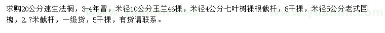 求购速生法桐、玉兰、七叶树等