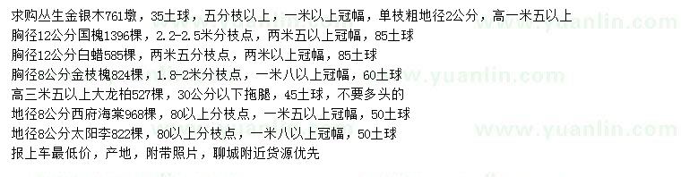 求购丛生金银木、国槐、白蜡等