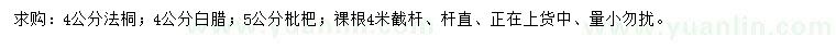 求购法桐、白腊、枇杷