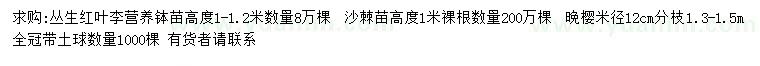 求购丛生红叶李、沙棘、晚樱