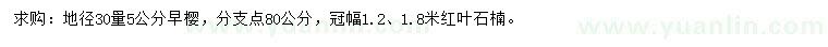 求购30量5公分早樱、冠幅1.2、1.8米红叶石楠