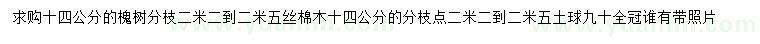 求购14公分槐树、丝棉木