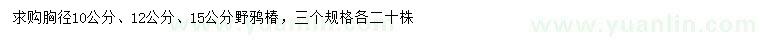 求购胸径10、12、15公分野鸦椿