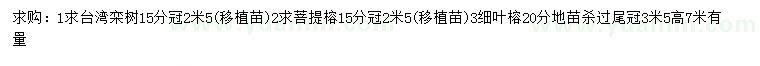 求购台湾栾树、菩提榕、细叶榕