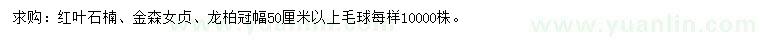 求购红叶石楠、金森女贞、龙柏