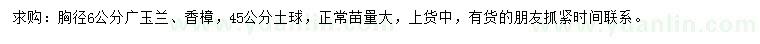 求购胸径6公分广玉兰、香樟